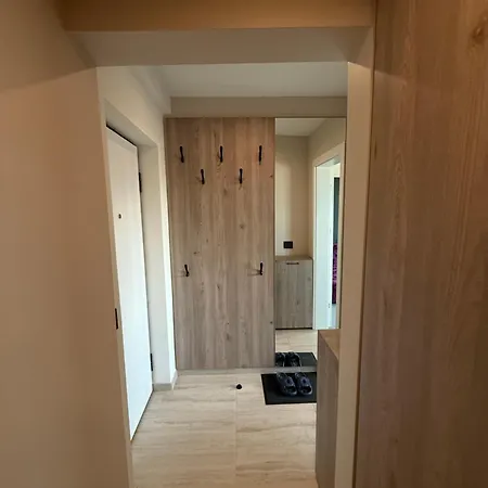 Seashells * Năvodari