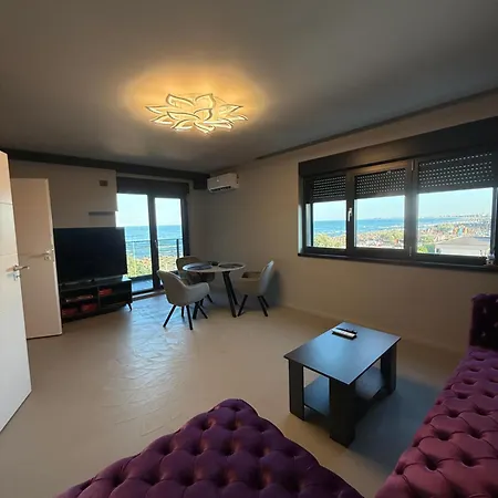 Apartment Seashells *